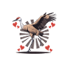 Sandhill Crane Lovers Bird Watching