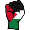 Palestine Flag Fist Symbol