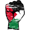 Palestine flag fist symbol used