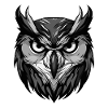 Owl Portrait