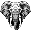 Elephant Head