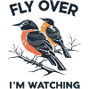 "Fly, I'm looking" slogan