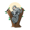 Sleeping Koala Bear