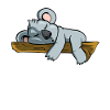 Ours Koala endormi