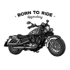 Chopper // Motorcycle