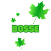 Fortwirt Bosse