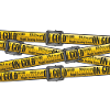BELT ON GOLD
