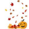 C’est la saison