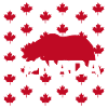 Kanada Flagge Ahorn