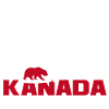 Ours sauvage du Canada