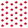 Équipe Canada 2024 Wild