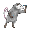 Fléchette Marsupiale Fléchette Fléchette