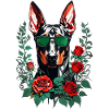 Doberman with roses