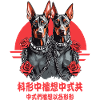 Doberman outsider