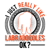 J’aime bien les Labradoodles