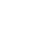Ice Hockey Skates