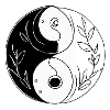 Aesthetic ying yang