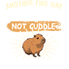 Capybara Wasserschwein