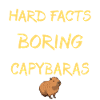 Capybara Wasserschwein