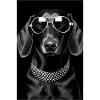 Dachshund Dog Sunglasses