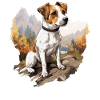 Dog Jack Russell