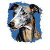 Dog Greyhound