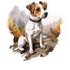 Dog Jack Russell