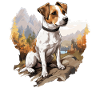 Dog Jack Russell