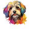 Dog Havanese