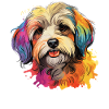 Dog Havanese