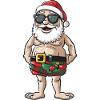 Santa Claus Holiday Santa