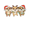 Suricate Noël Animaux d’hiver Suricate