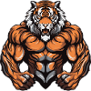 Tiger Muscles Bodybuilding