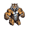 Gymnase d’entraînement Tiger Muscles