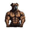 Dog Muscles Workout Gym