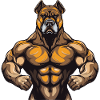 Dog Muscles Bodybuilding