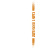 Saint Bernard Us Flag