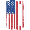 Saint Bernard Us Flag