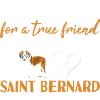 I Asked God Saint Bernard