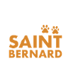 Loved By A Saint Bernard