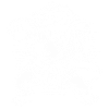 Karate Crocodile