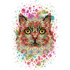 Katze