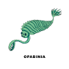 OPABINIA