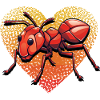 ant