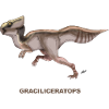 GRACILICERATOPS
