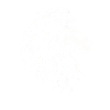 Majestic lion head silhouette