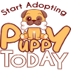 Start Adopting Puppy today