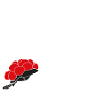 Schwarzwald Liebe