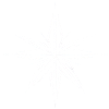 Minimalist Poinsettia: Festive