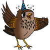 Schnapsdrossel